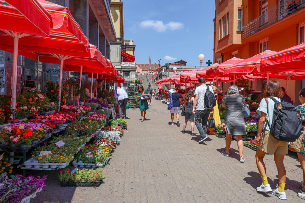 Things to Do in Zagreb: Top Attractions to Explore This Year